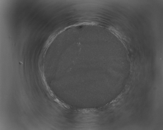 X0000082940241200702222254