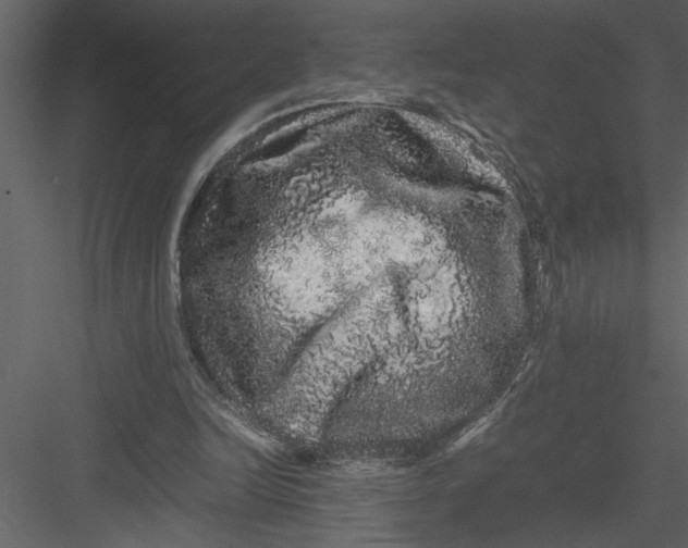 X0000082940246200702222254