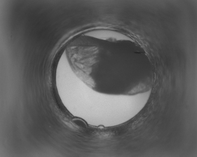 X0000082940247200702222254