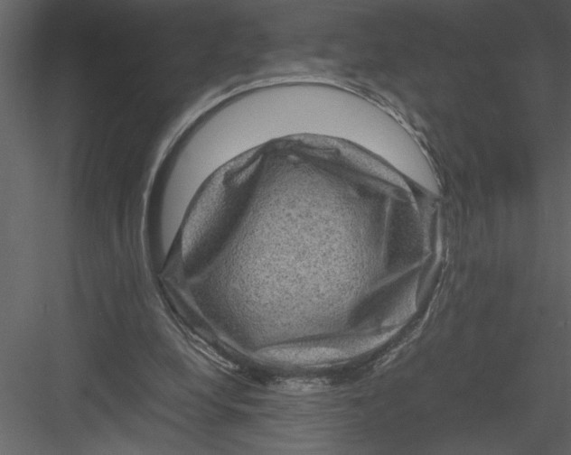 X0000082940248200702222254