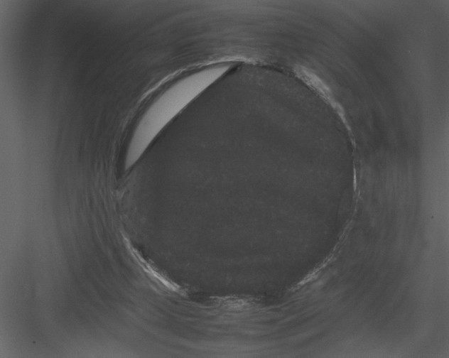 X0000082940249200702222254