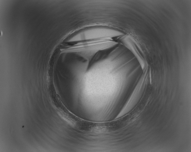 X0000082940252200702222254