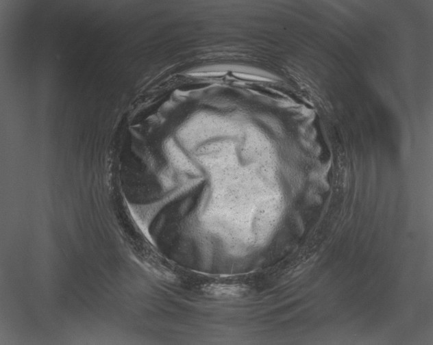 X0000082940255200702222254