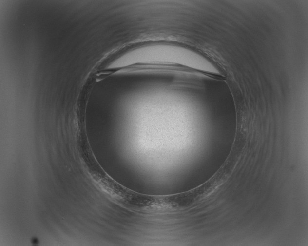 X0000082940256200702222254