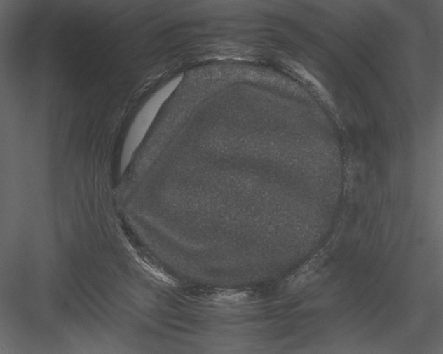 X0000082940257200702222254