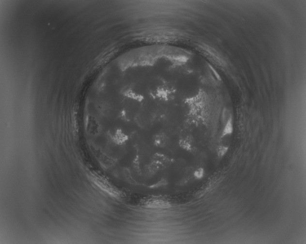 X0000082940258200702222254