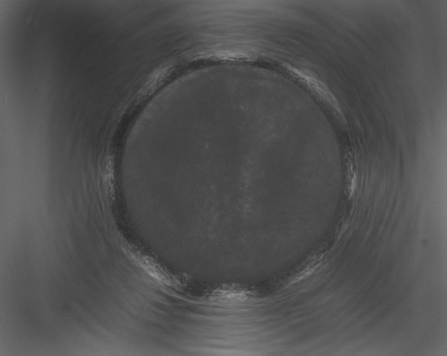 X0000082940260200702222254