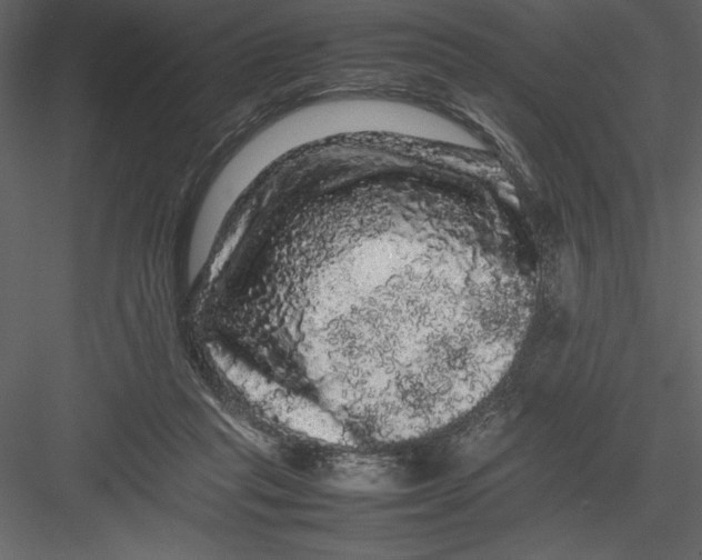 X0000082940261200702222254