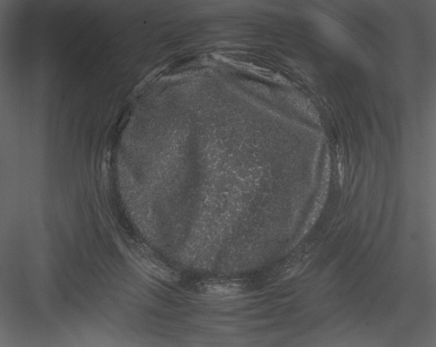 X0000082940263200702222254