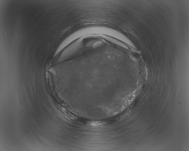 X0000082940264200702222254