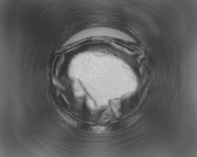 X0000082940265200702222254