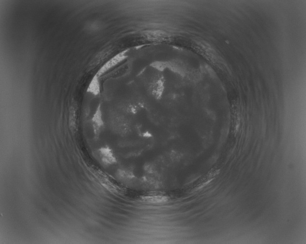 X0000082940266200702222254