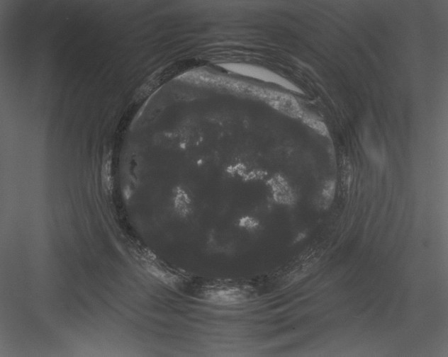 X0000082940267200702222254