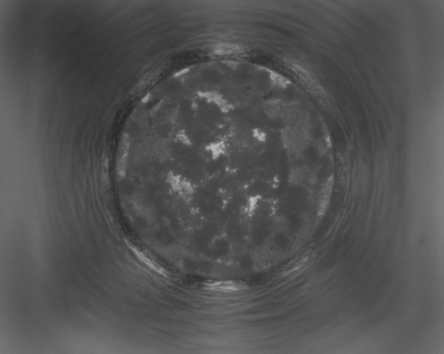 X0000082940269200702222254