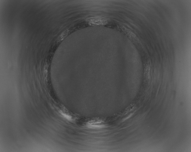 X0000082940271200702222254