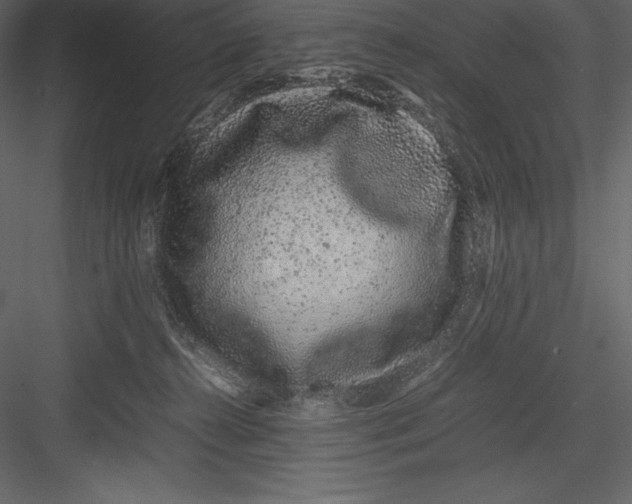 X0000082940272200702222255