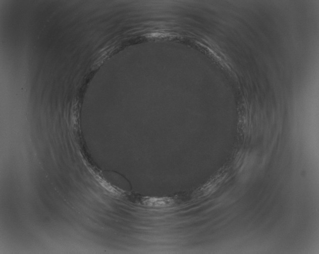 X0000082940277200702222255