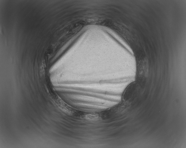 X0000082940279200702222255