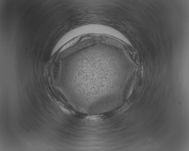 X0000082940280200702222255