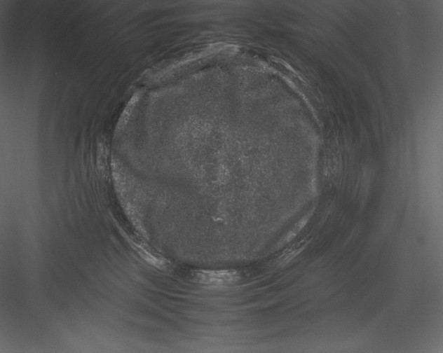 X0000082940281200702222255