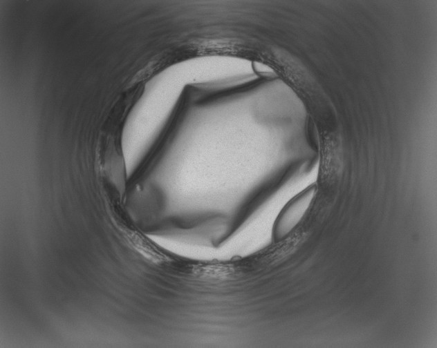 X0000082940282200702222255