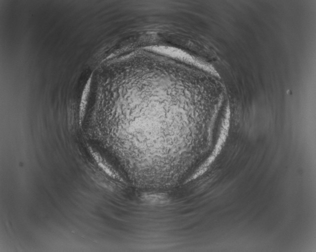 X0000082940283200702222255