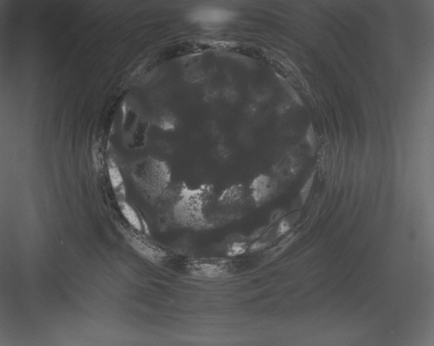 X0000082940285200702222255