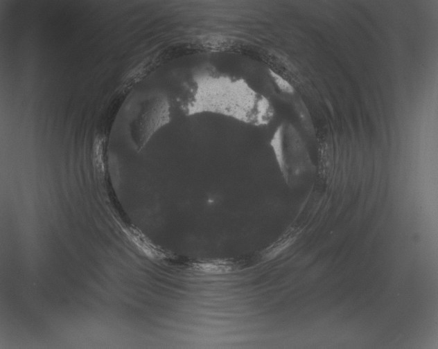 X0000082940286200702222255