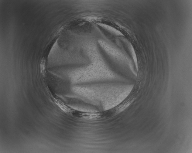 X0000082940288200702222255