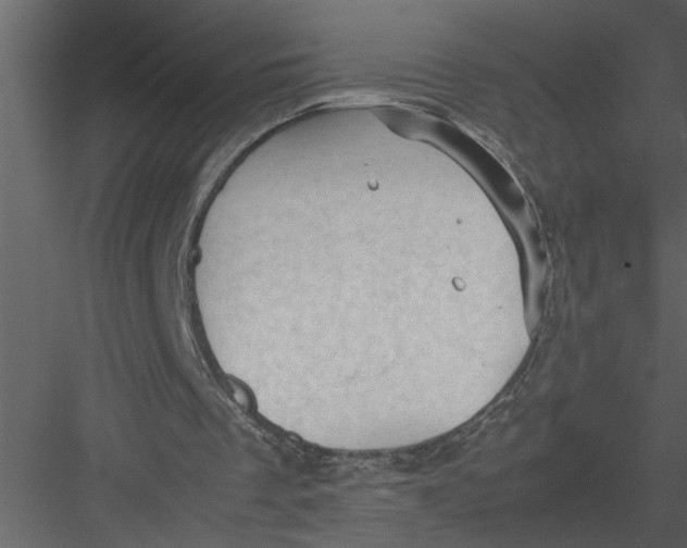 X0000082940289200702222254