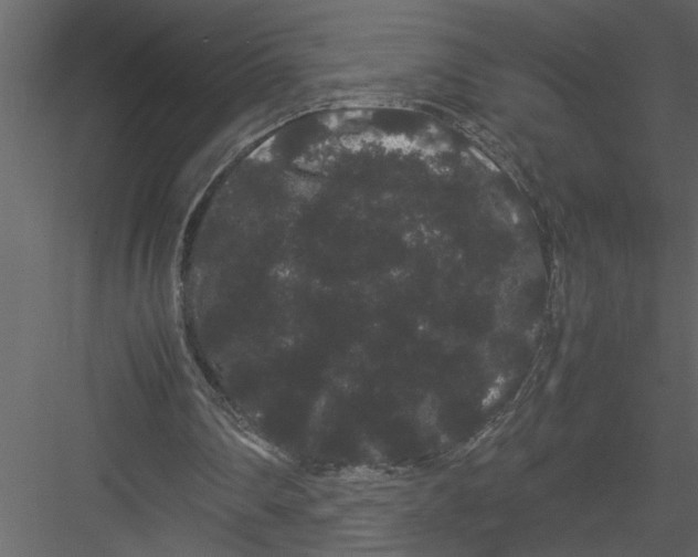 X0000082940290200702222254