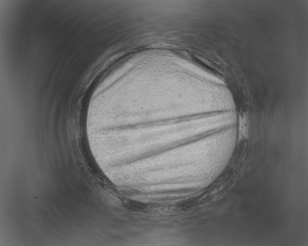 X0000082940291200702222254