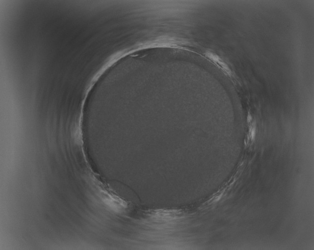 X0000082940292200702222254