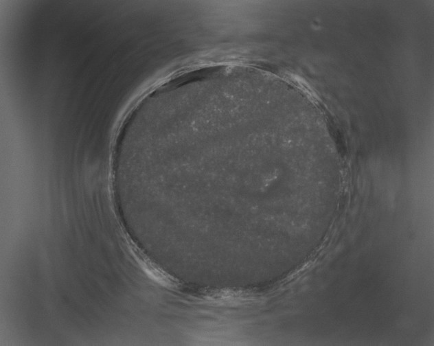 X0000082940293200702222254