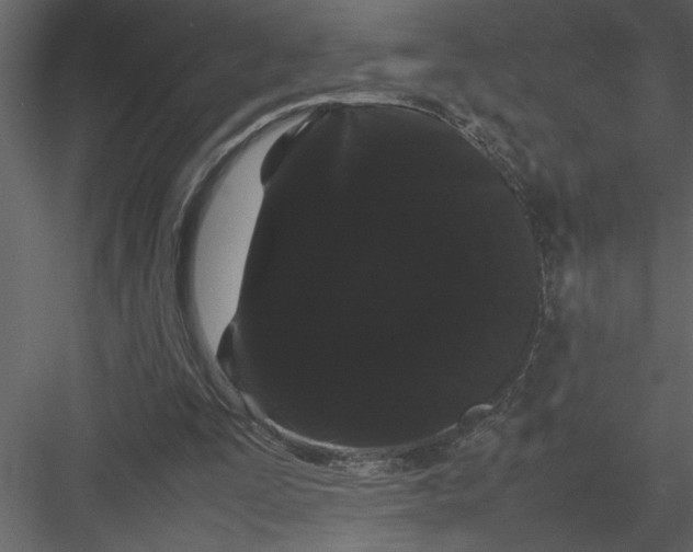 X0000082940295200702222254