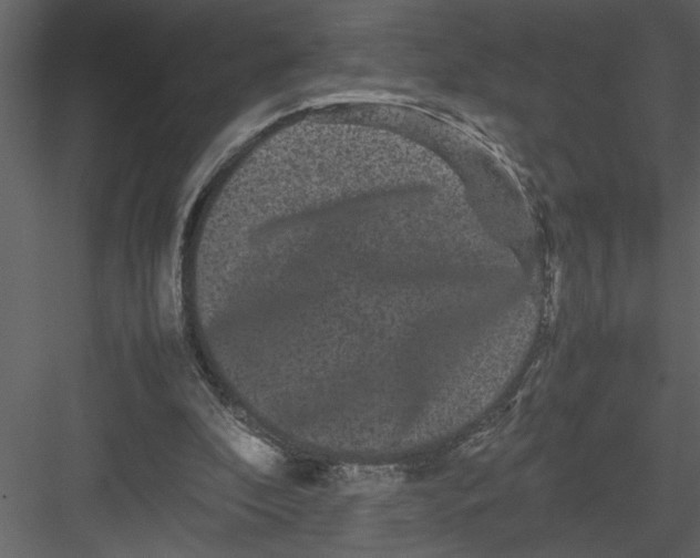 X0000082940296200702222254