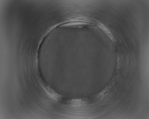 X0000082940298200702222254