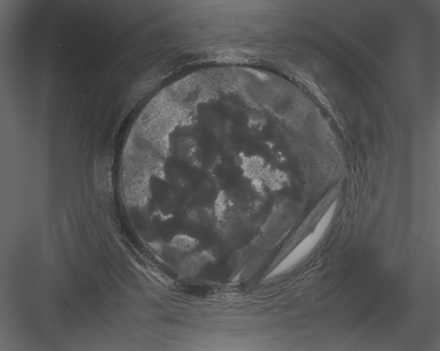 X0000082940299200702222254