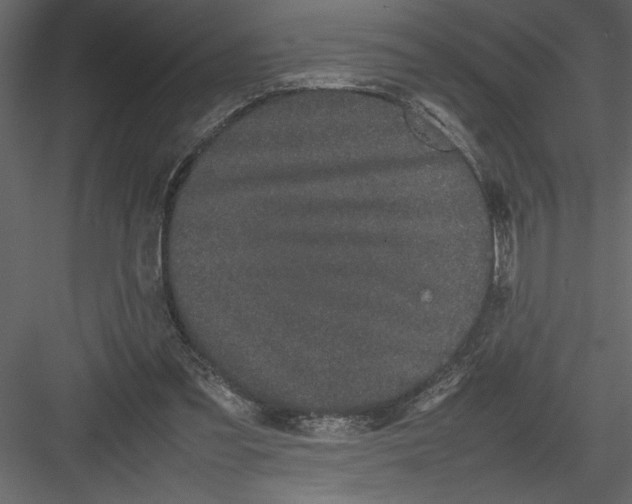 X0000082940301200702222254