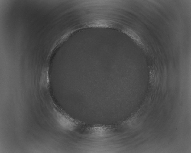 X0000082940302200702222254