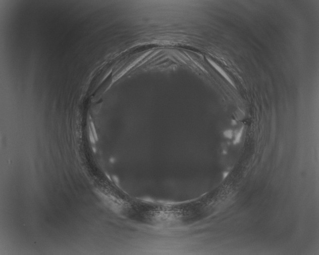 X0000082940303200702222254