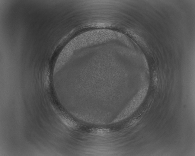 X0000082940304200702222254