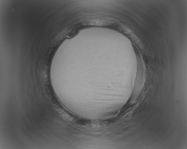 X0000082940305200702222254