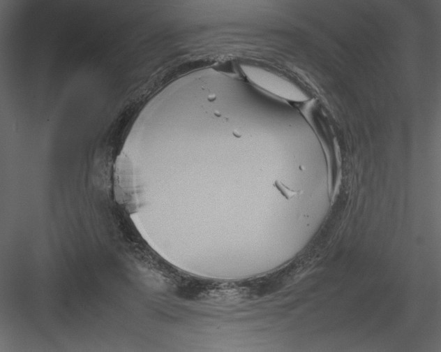 X0000082940307200702222254