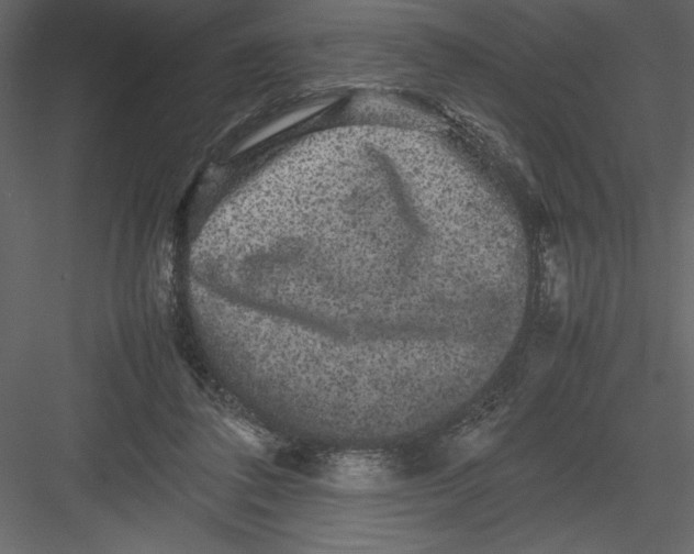 X0000082940308200702222254