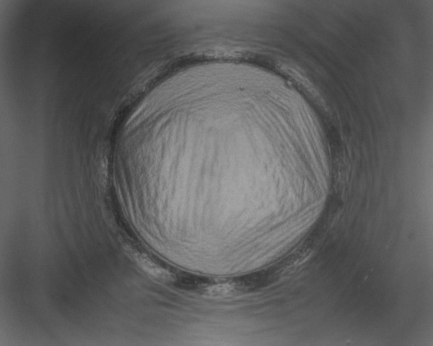 X0000082940309200702222254