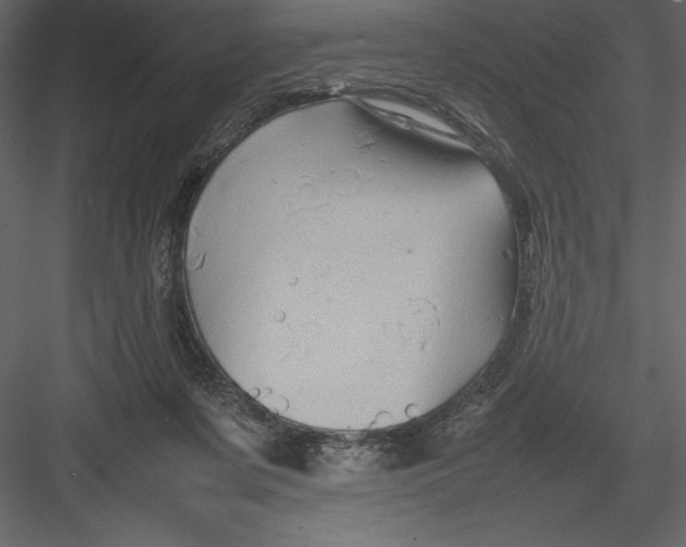 X0000082940311200702222254