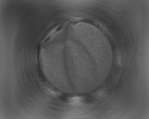 X0000082940312200702222254