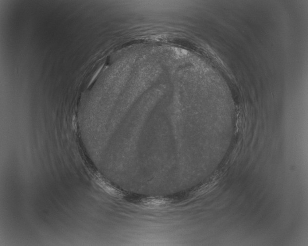 X0000082940313200702222254