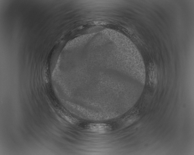 X0000082940316200702222253